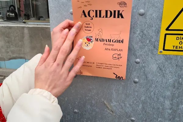 MADAM GODİ PETSHOP - Resim 20