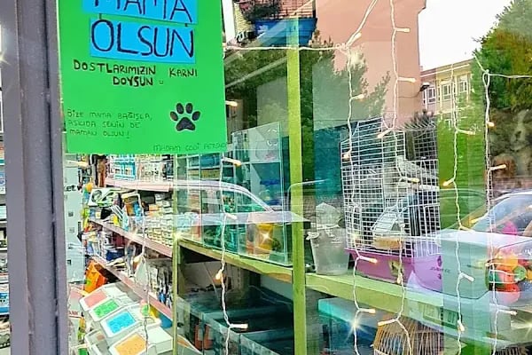 MADAM GODİ PETSHOP - Resim 9