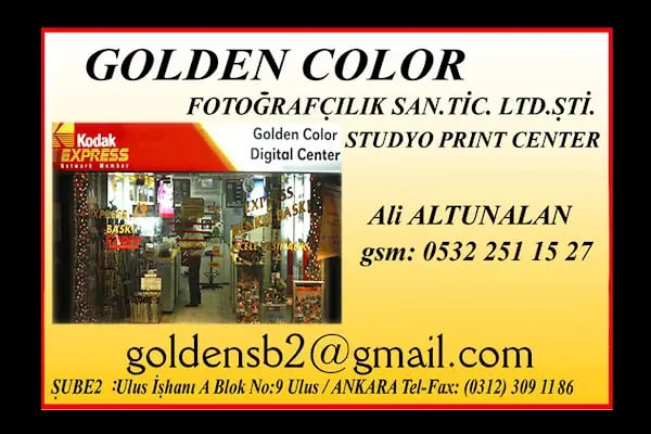 Golden Color - Resim 2