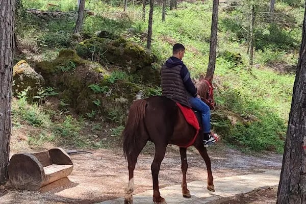 Alanya Belediyesi Macera Parkı - Resim 7