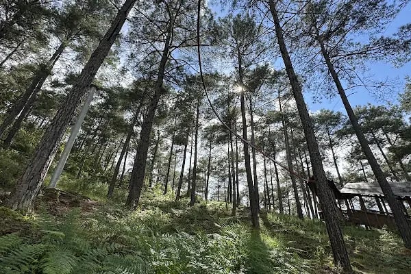 Alanya Belediyesi Macera Parkı - Resim 11