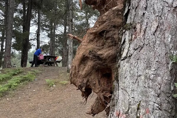Alanya Belediyesi Macera Parkı - Resim 19