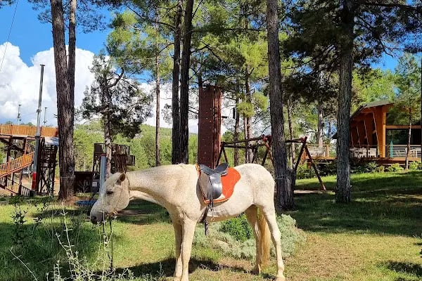 Alanya Belediyesi Macera Parkı - Resim 4