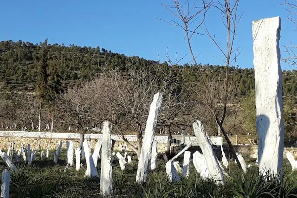 Amasya Üzeyir Emre İlköğretim Okulu - Resim 12