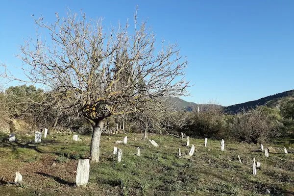 Amasya Üzeyir Emre İlköğretim Okulu - Resim 19