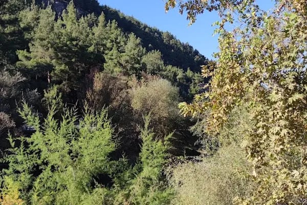 İPEKBÖCEĞİ PARK - Resim 13