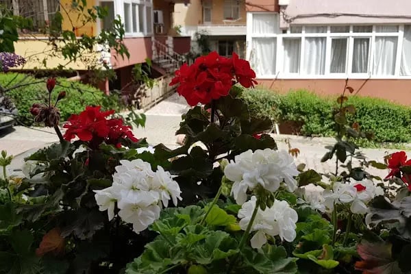 AKEVİN SİTESİ - Resim 12