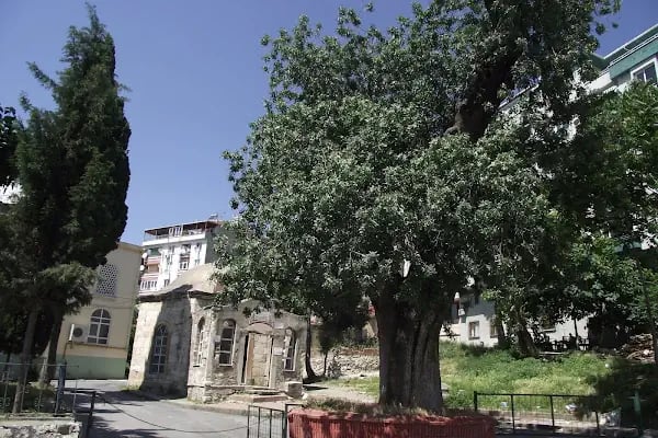 Seyyid Abdüsselam Çelebi Türbesi - Resim 5