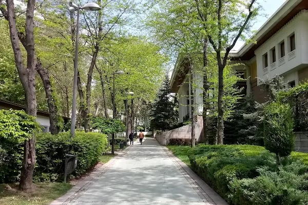 Gençilik Parkı Havuzu Göleti - Resim 16