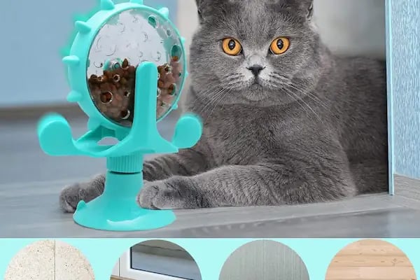 Antalya Alo Mama - Kedi maması Hemen mama - Resim 14