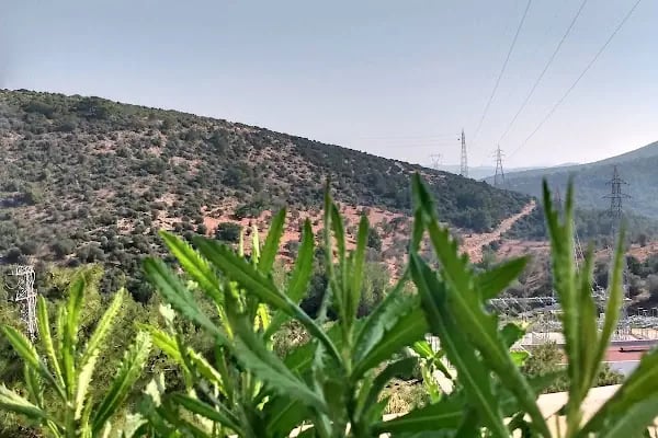 Acropol Amethyst Villaları - Resim 14