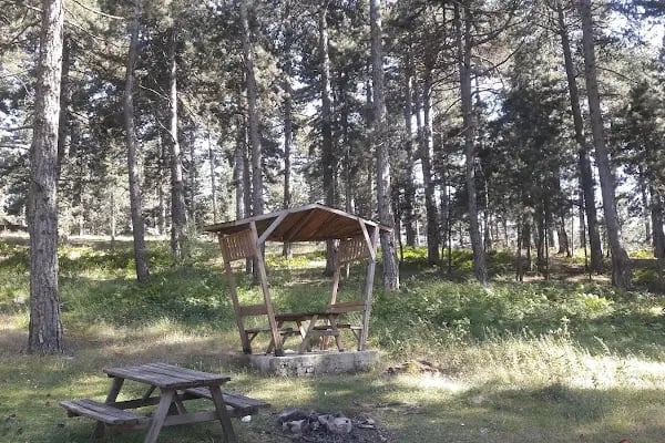 Görecik Yaylası Piknik Alanı - Resim 6