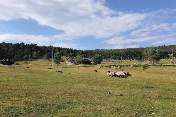 Görecik Yaylası Piknik Alanı - Resim 3