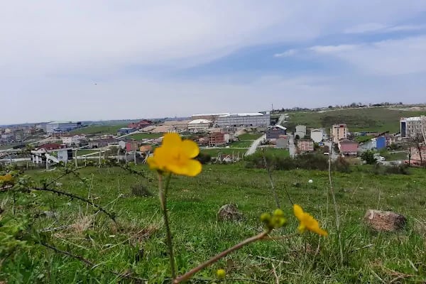 IŞIKLAR AYAKKABICILIK İMALAT SAN.TİC.LTD.ŞTİ - Resim 3