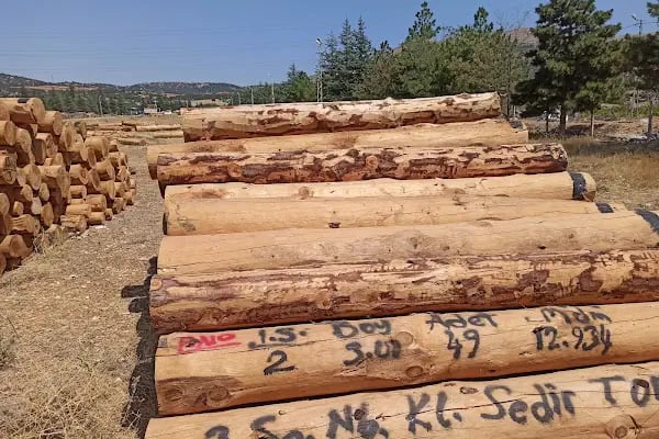 BATI AKDENİZ ORMAN ÜRÜNLERİ - Resim 12