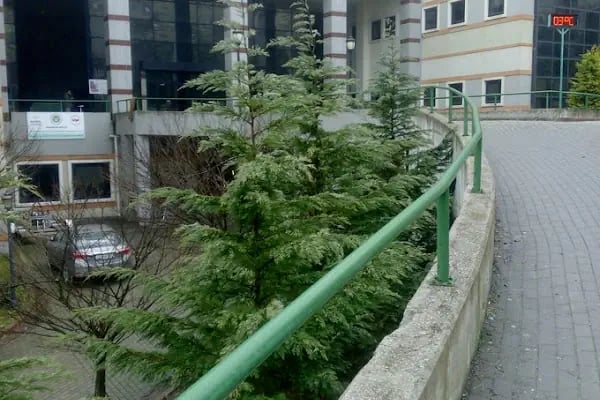 Kocaeli Üniversitesi Mühendislik Fakültesi A Blok - Resim 19