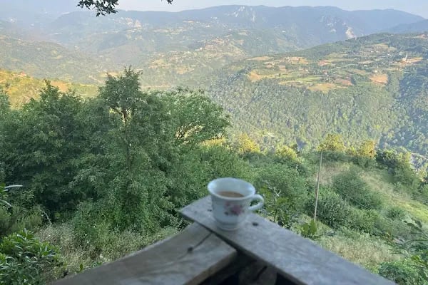 Böcekhane Köyü - Resim 14