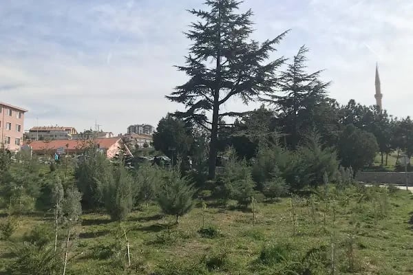 Ankara Atatürk Sanatoryum Eğitim ve Araştırma Hastanesi - Resim 13