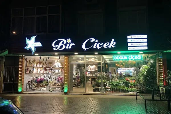 Bir Çiçek - Resim 2