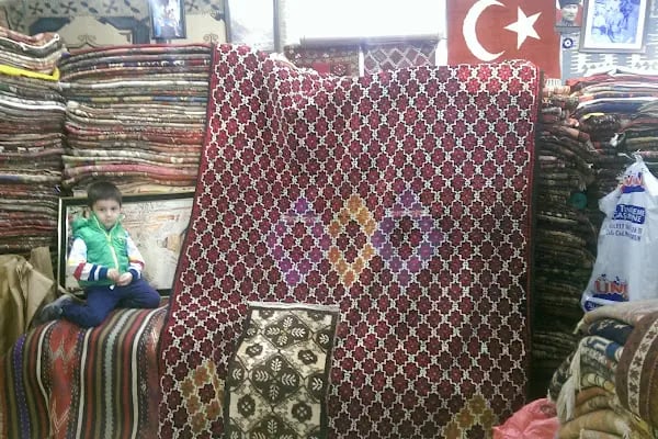 Berdushbebeyollarda - Resim 13