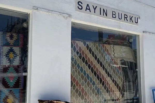 Berdushbebeyollarda - Resim 11