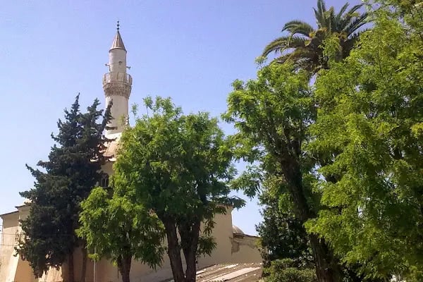 Hatuniye Camii, İzmir - Resim 13