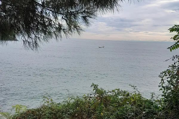 Akçakale Limanı - Resim 3