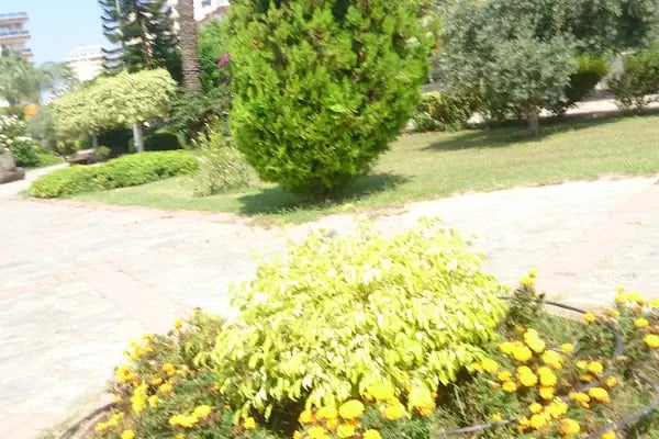 Alanya 1 Nolu Acil Sağlık Hizmetleri İstasyonu - Resim 5