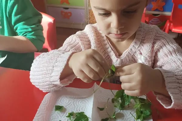 Özel Bal Sokağı Gündüz Bakımevi - Resim 19