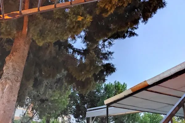 Afetevleri Camii - Resim 15