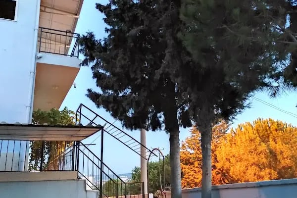 Afetevleri Camii - Resim 5