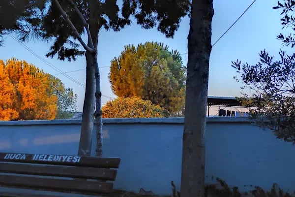 Afetevleri Camii - Resim 8