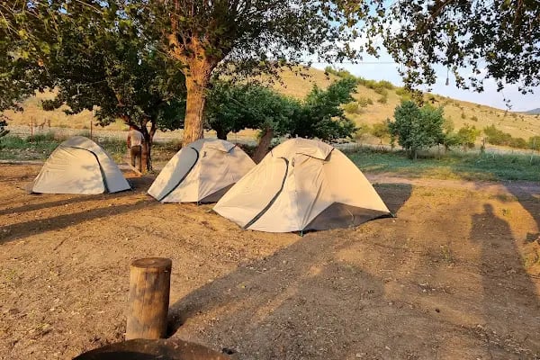No9 Camping - Resim 18