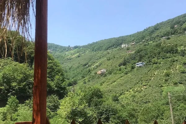trabzon bungalov riverside house - Resim 10