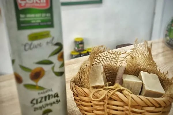 Çakır Zeytinleri - Resim 2