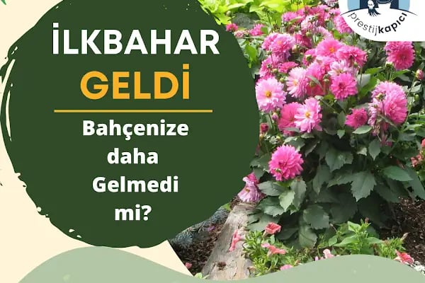 Prestij Kapıcılık- Mobil Kapıcılık ve Temizlik Hizmetleri- KONYA - Resim 5