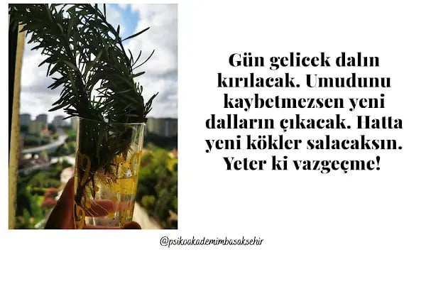 Psikoakademi Psikolojik Danışmanlık ve Sanatla Terapi Merkezi | Başakşehir Psikolog - Resim 19
