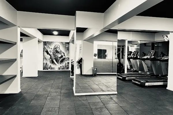 ZEUS GYM - Resim 2