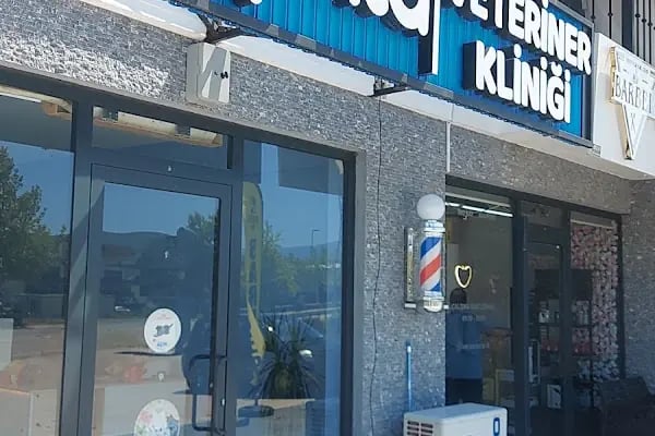 Ophta Veteriner Kliniği - Resim 2
