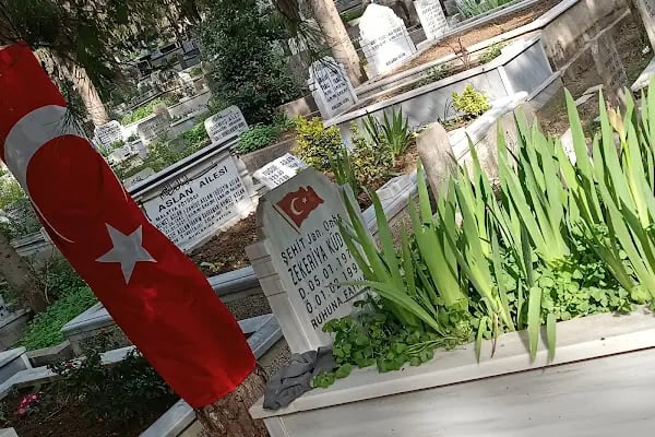 Kanarya Mezarlığı Memurluğu - Resim 12