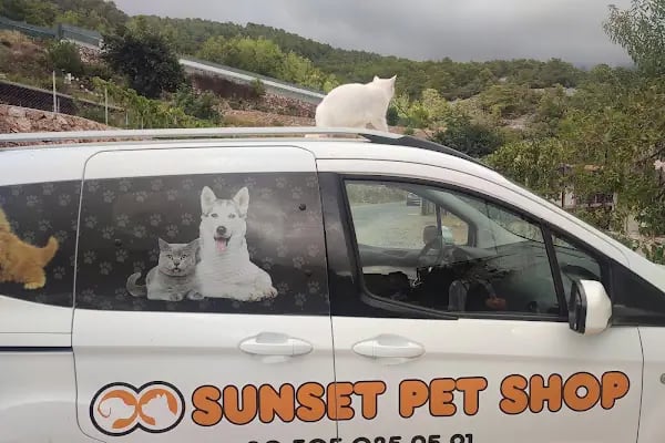 SUNSET PET SHOP - Resim 15