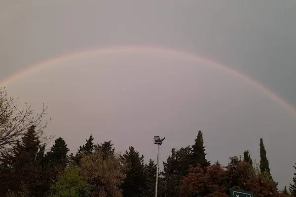 Canbey Sürücü Kursu Atakent Şube - Resim 10