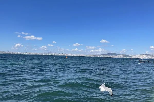 Kumluk Sahne Beach - Resim 11