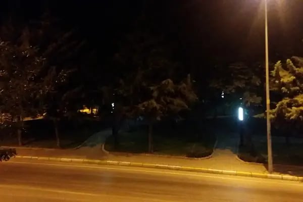 Şehir Parkı - Resim 7
