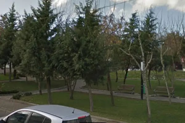 Şehir Parkı - Resim 5