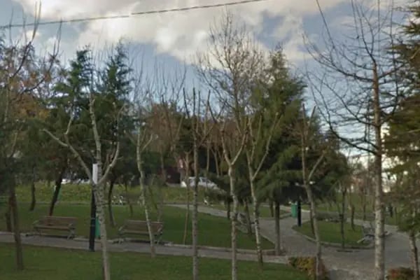 Şehir Parkı - Resim 2