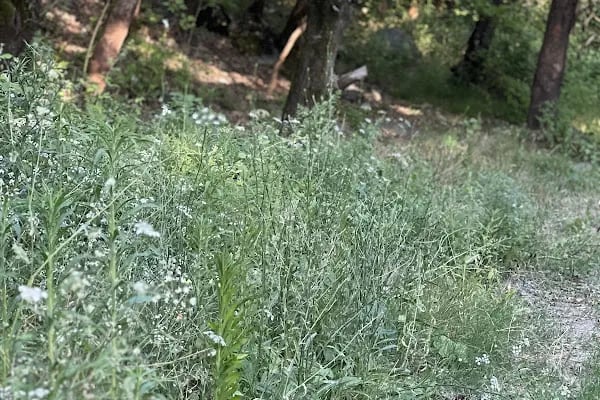 Cihangir Adventure Park - Resim 18
