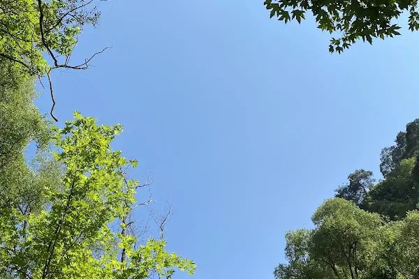 Cihangir Adventure Park - Resim 19