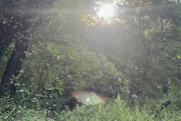 Cihangir Adventure Park - Resim 7