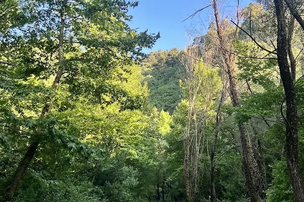 Cihangir Adventure Park - Resim 9